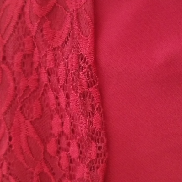 City Triangles Plus Size Lace Roses Overlay Fully Lined Dress - Picture 6 of 8